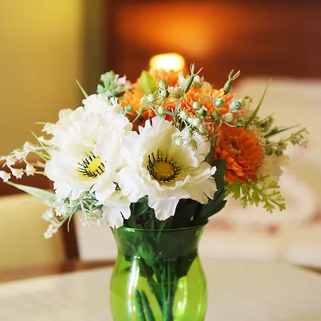 Aparthotel Esmeralda Kremastí